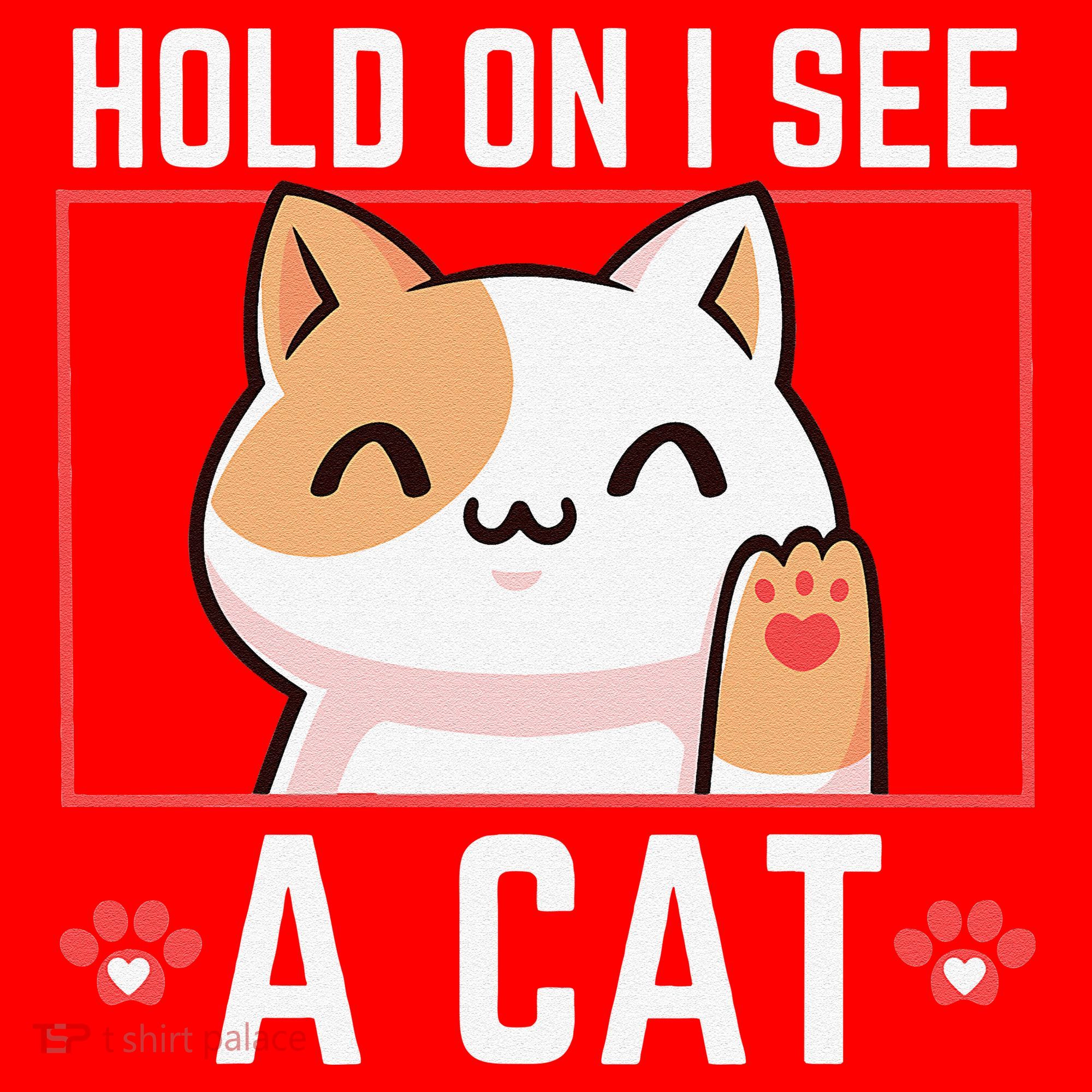 Hold On I See A Cat Funny Sarcastic Cat Lovers Women Santa Hat