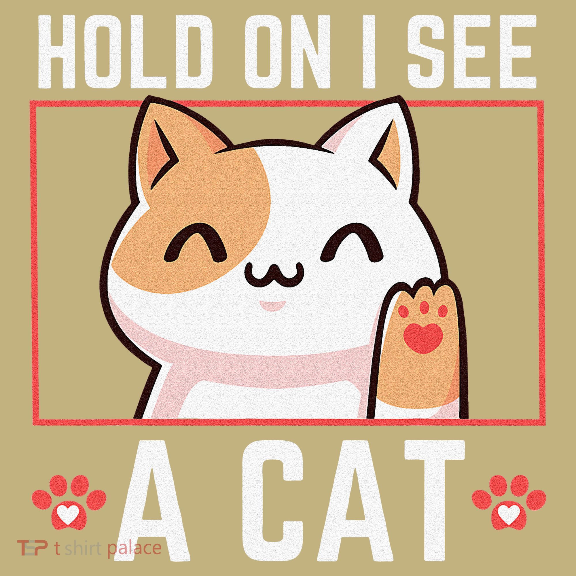 Hold On I See A Cat Funny Sarcastic Cat Lovers Women Hoodie