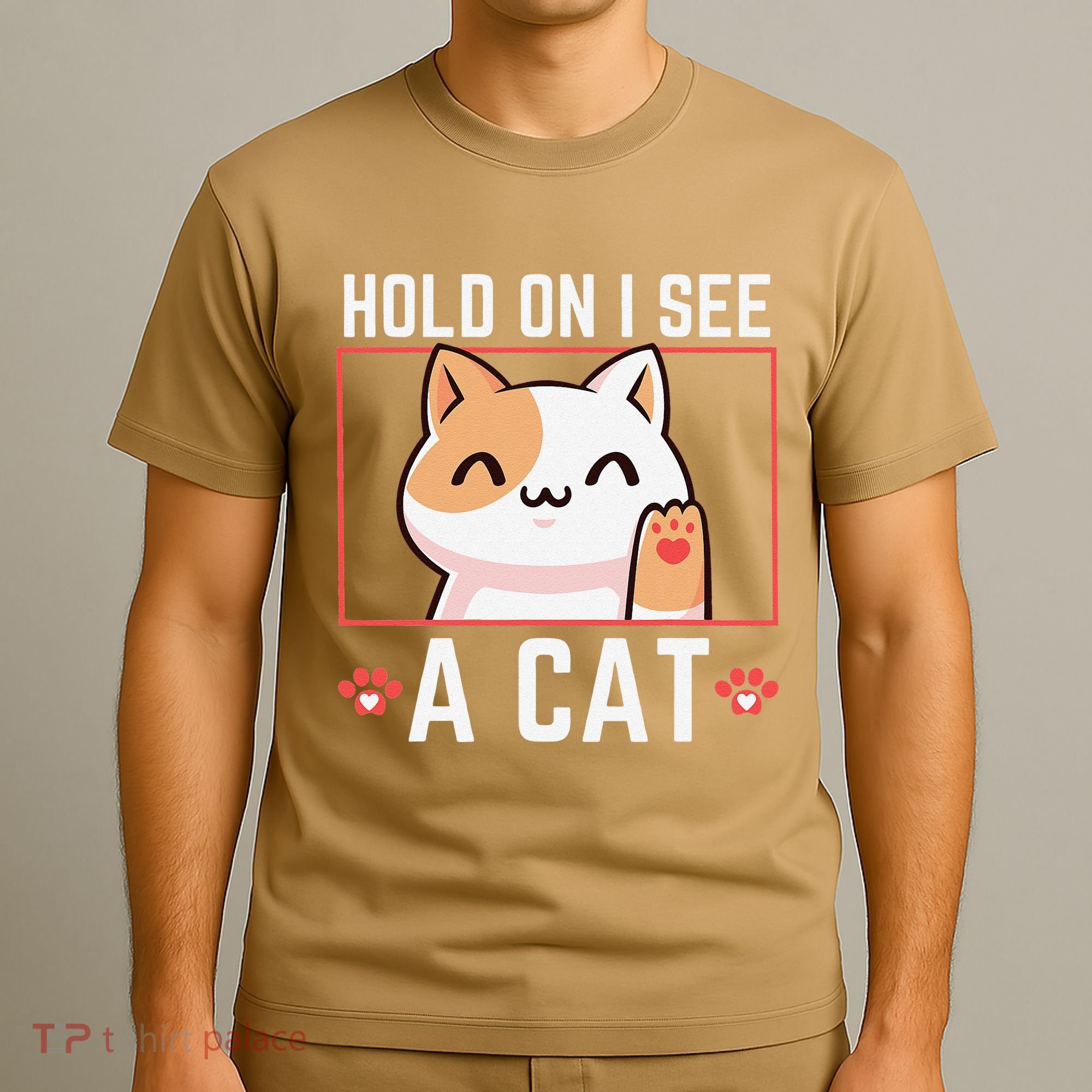 Hold On I See A Cat Funny Sarcastic Cat Lovers Women T-Shirt