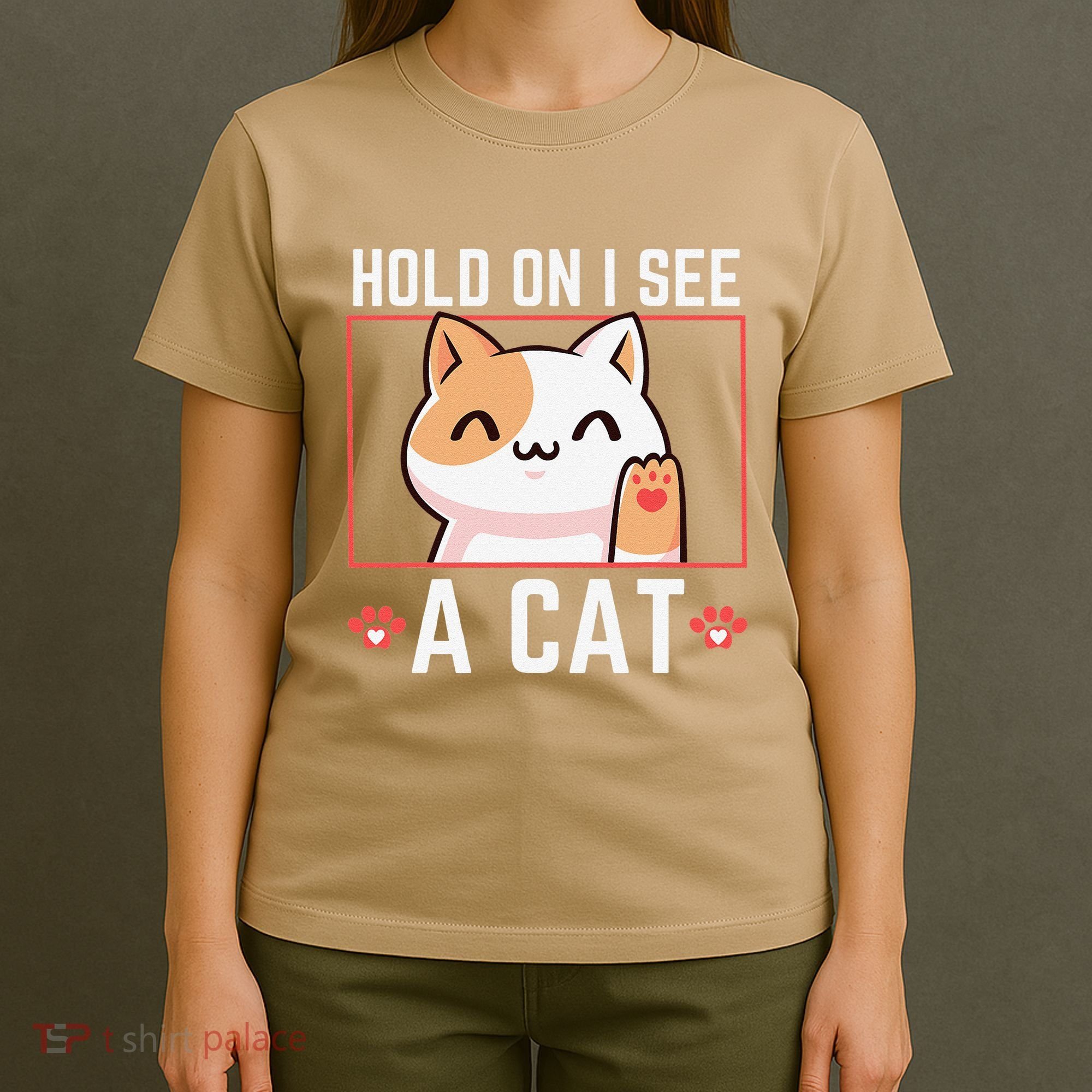 Hold On I See A Cat Funny Sarcastic Cat Lovers Women T-Shirt
