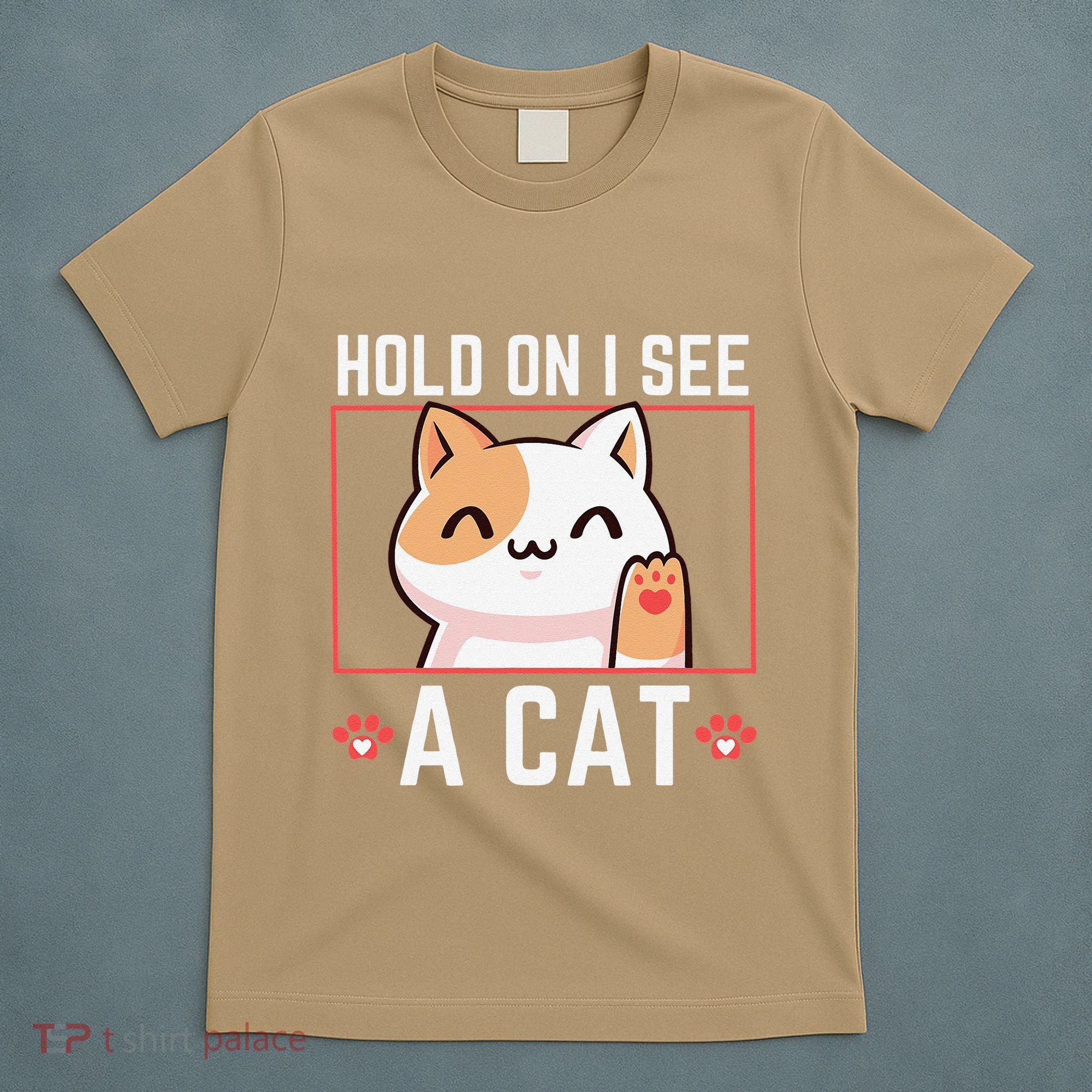 Hold On I See A Cat Funny Sarcastic Cat Lovers Women T-Shirt