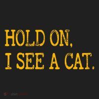Hold On I See Cat Funny Cat Lovers Sarcastic Sayings Cats Women's Sweatshirt thumb 2