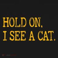 Hold On I See Cat Funny Cat Lovers Sarcastic Sayings Cats Women's Hoodie thumb 2