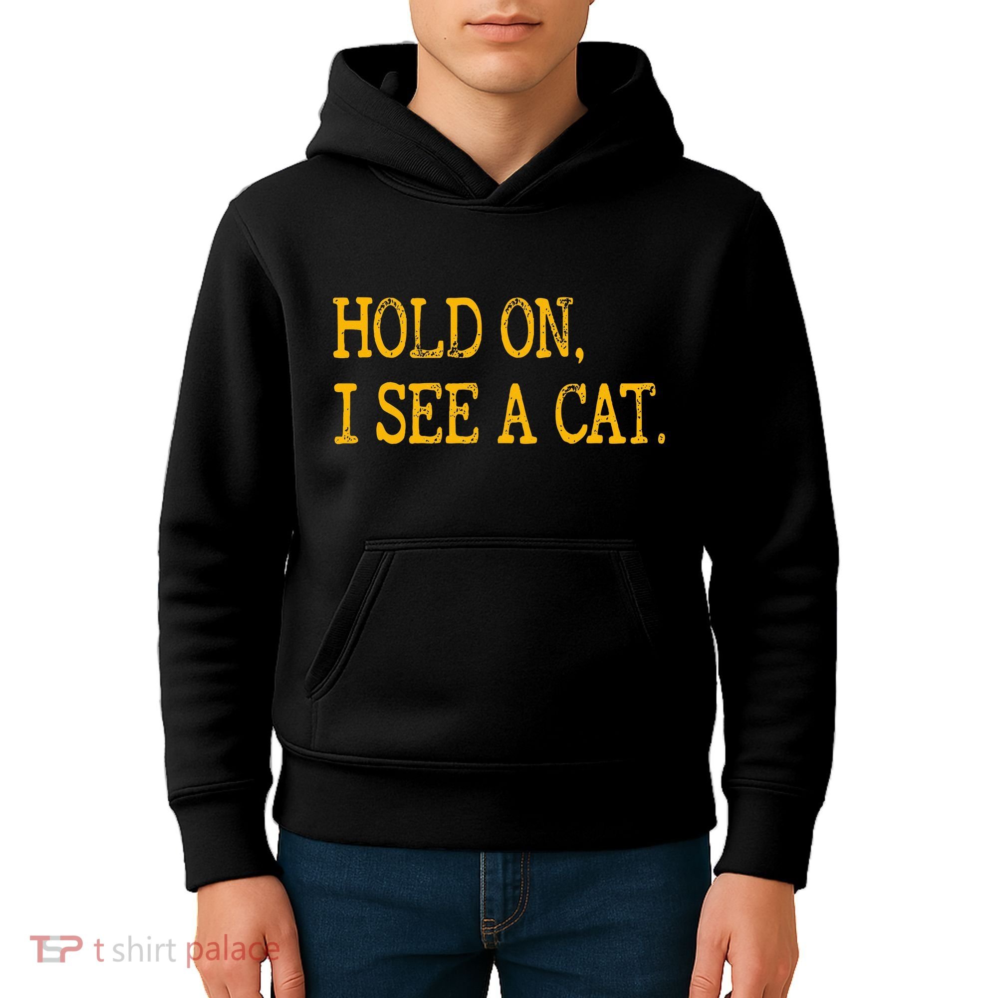 Hold On I See Cat Funny Cat Lovers Sarcastic Sayings Cats Kids Hoodie