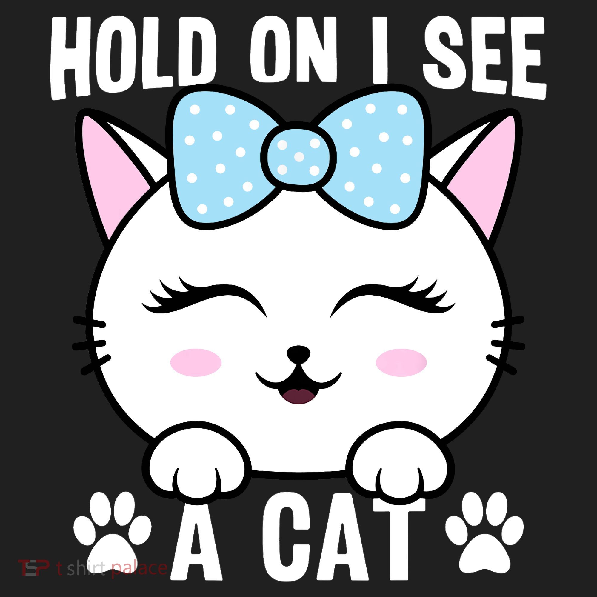 Hold On I See A Cat Funny Cat Lovers Kitten Sarcastic Saying Tumbler