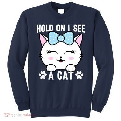 Hold On I See A Cat Funny Cat Lovers Kitten Sarcastic Saying Sweatshirt
