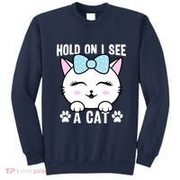 Hold On I See A Cat Funny Cat Lovers Kitten Sarcastic Saying Sweatshirt thumb 0