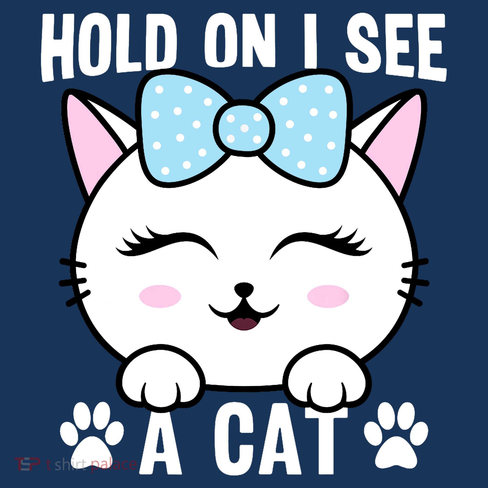Hold On I See A Cat Funny Cat Lovers Kitten Sarcastic Saying Women's Tank Top