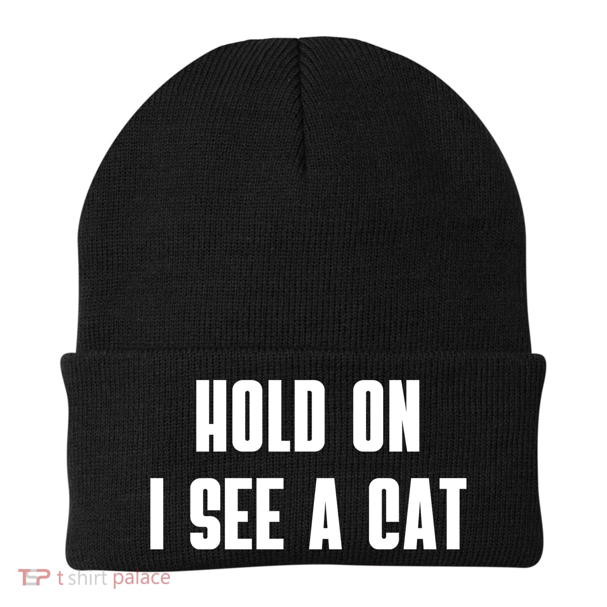 Hold On I See A Cat Cat Person Cat Lover Beanie