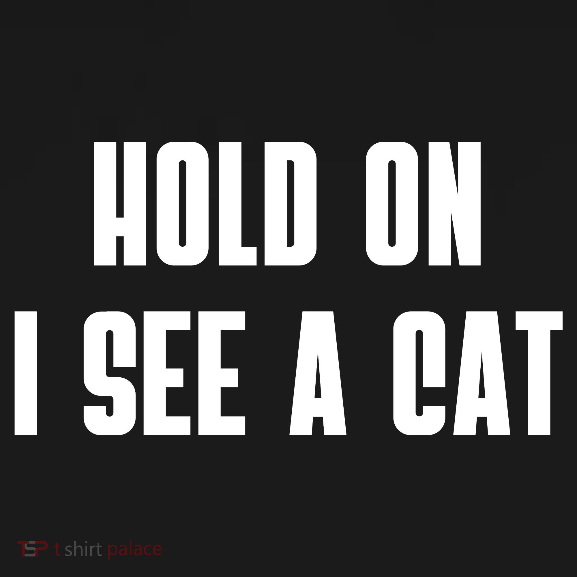 Hold On I See A Cat Cat Person Cat Lover Women's Hoodie