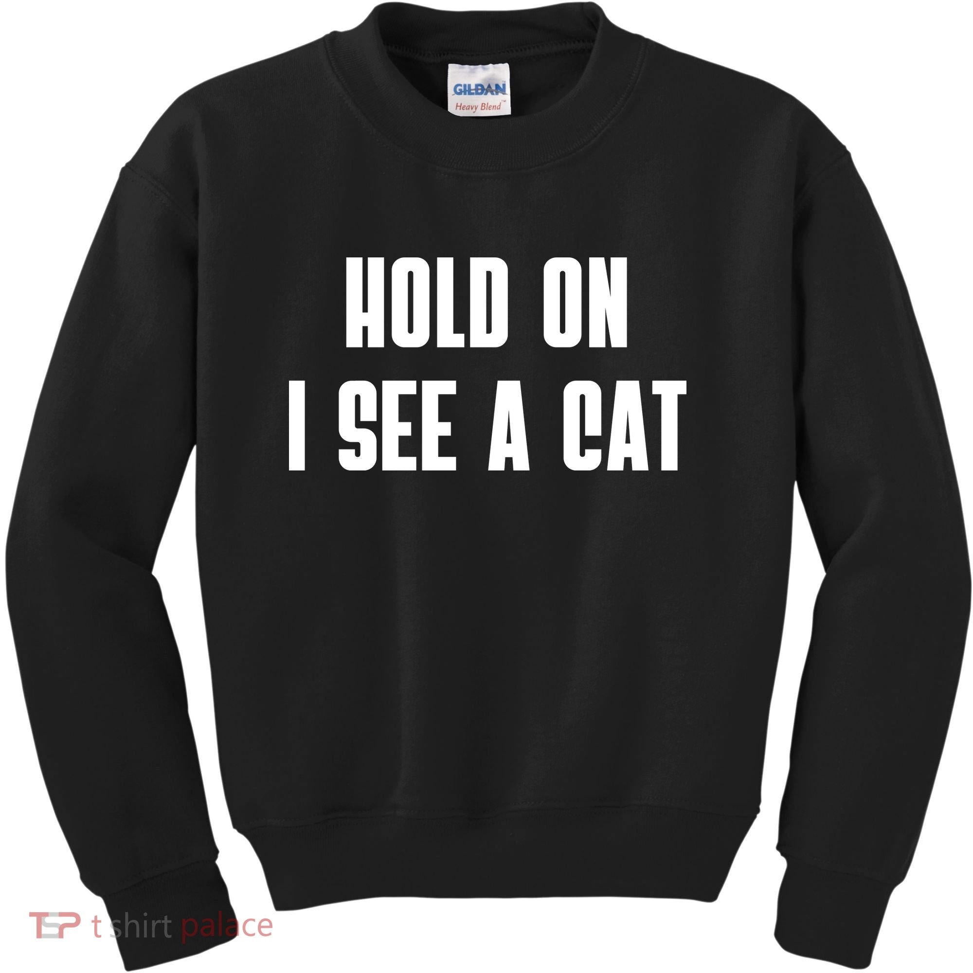 Hold On I See A Cat Cat Person Cat Lover Kids Sweatshirt