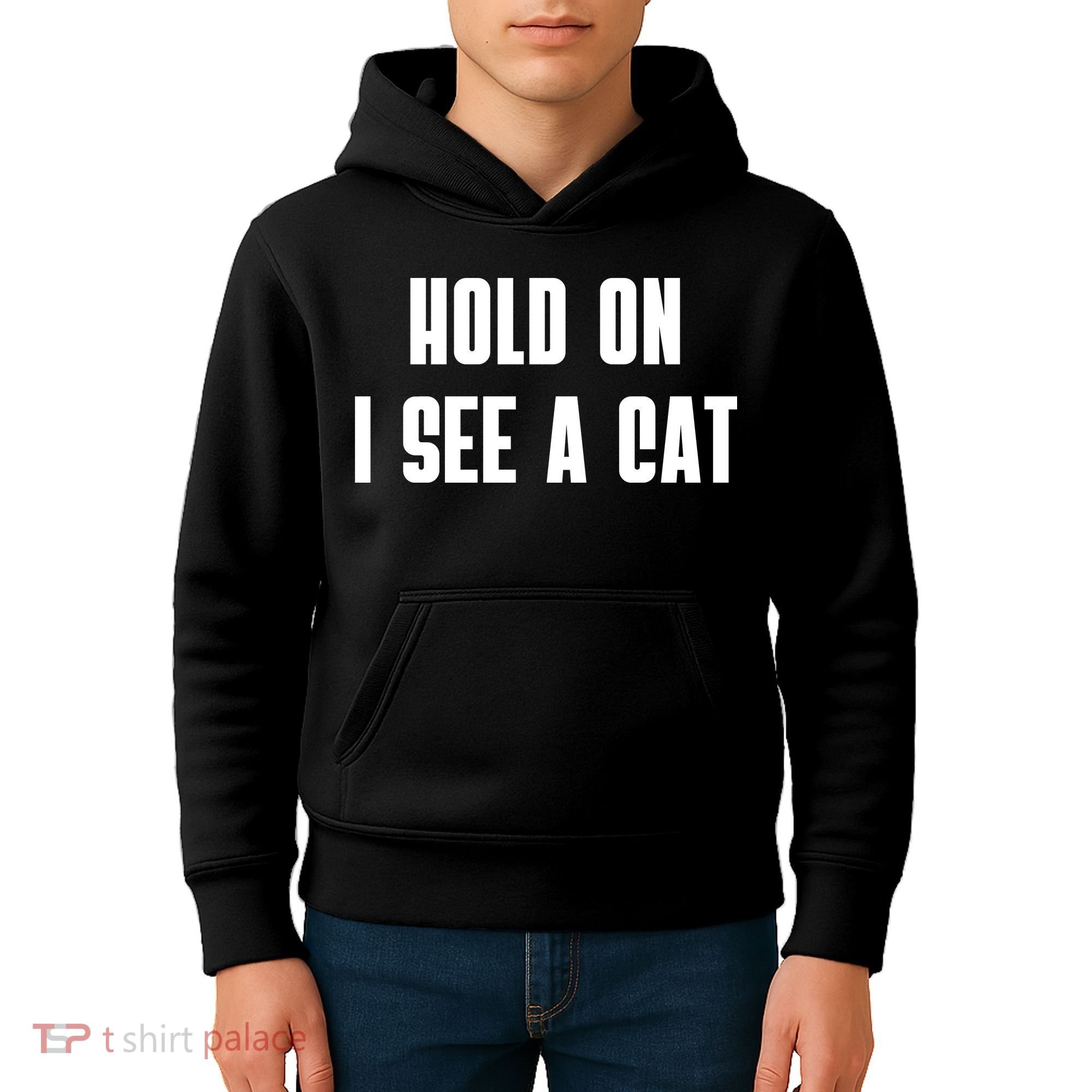 Hold On I See A Cat Cat Person Cat Lover Kids Hoodie