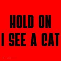 Hold On I See A Cat Cat Person Cat Lover Santa Hat thumb 1
