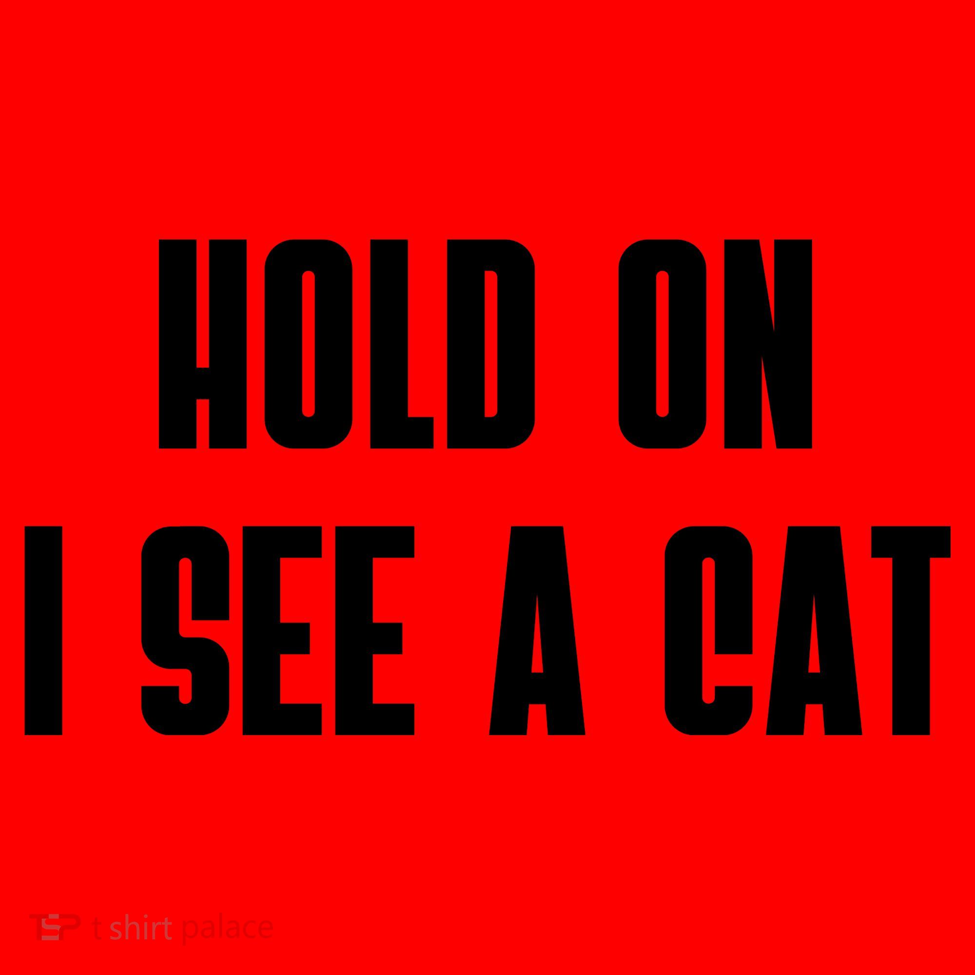 Hold On I See A Cat Cat Person Cat Lover Santa Hat