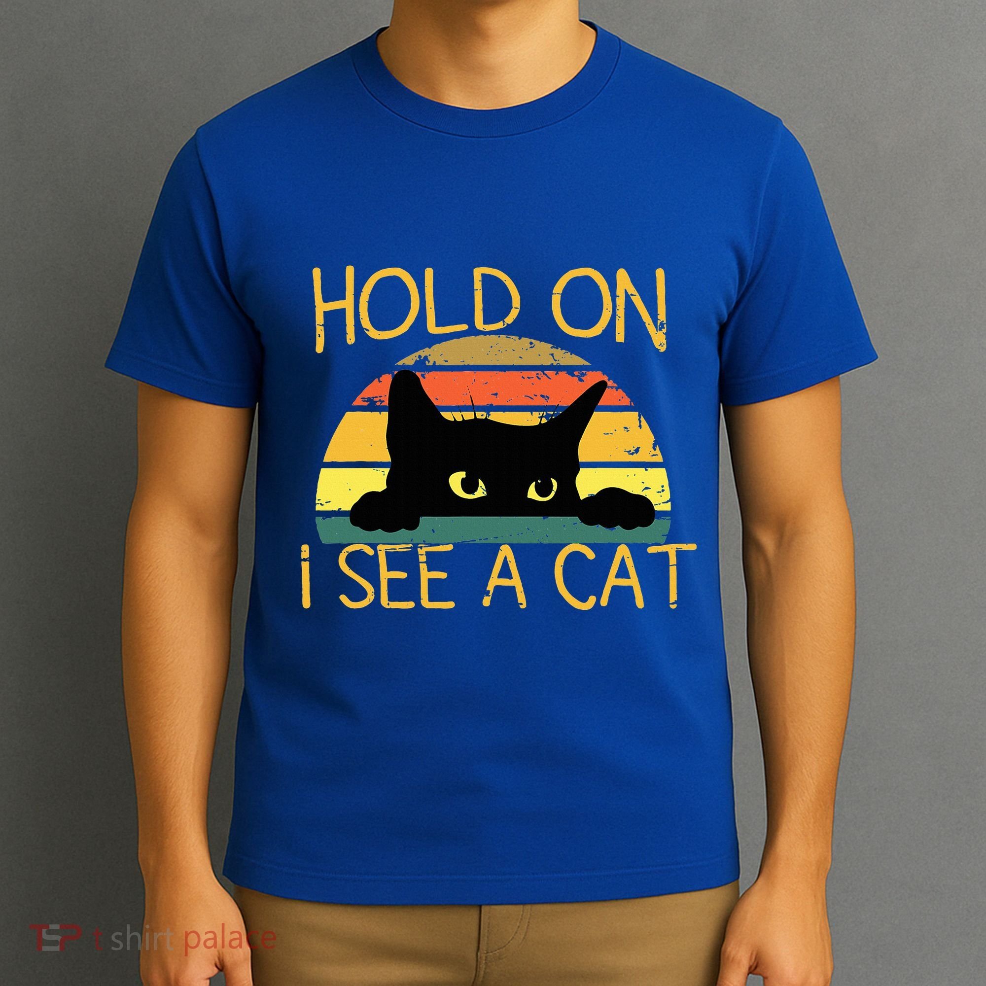 Hold On I See A Cat Kitten Vintage Cat Mom Funny Black Cat T-Shirt