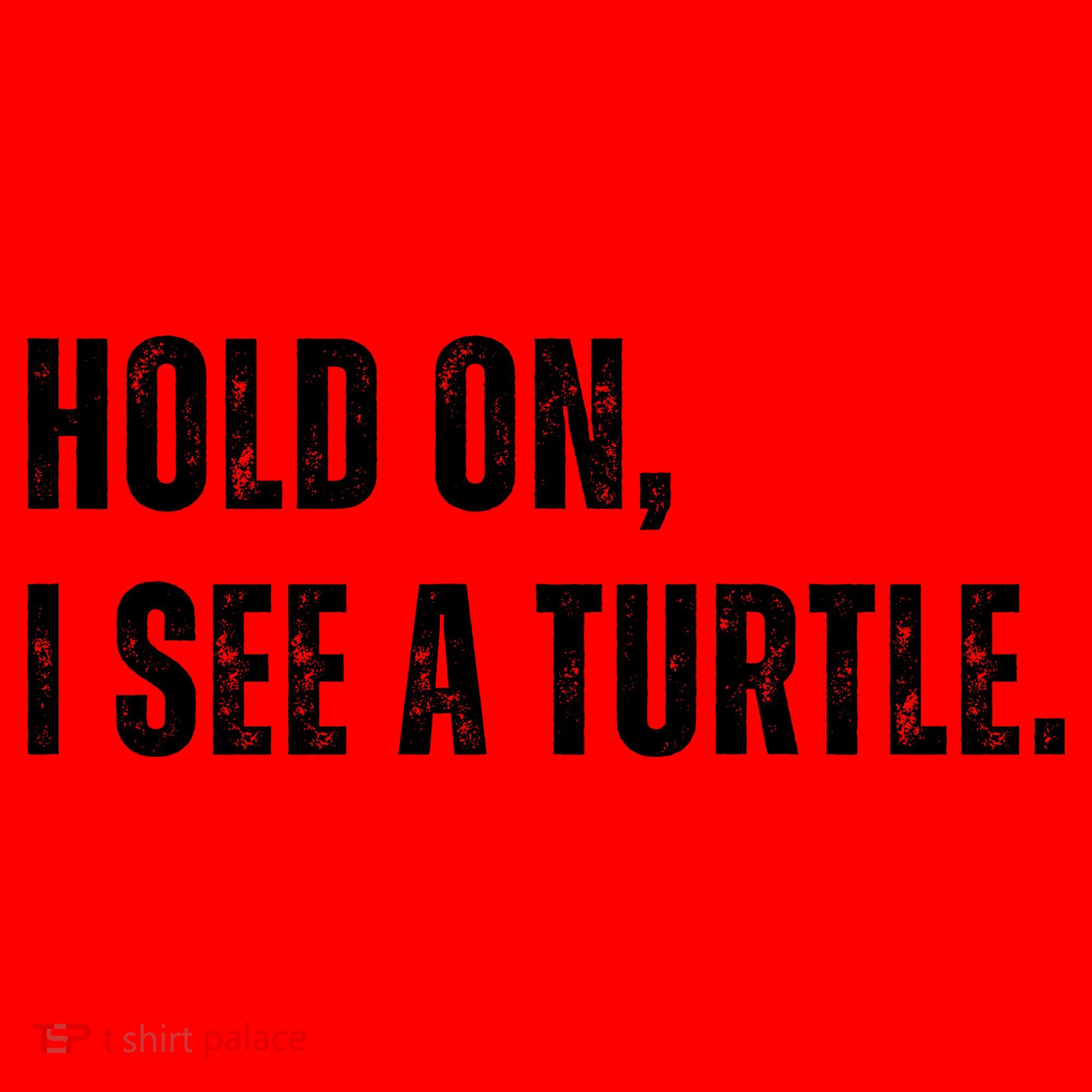 Hold On I See A Turtle Santa Hat