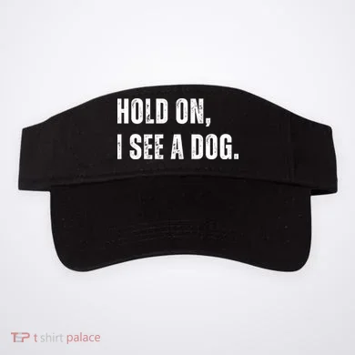 Visor