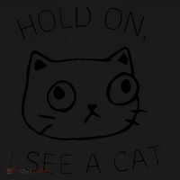 Hold On I See A Cat Funny Cat Kitten for Wo Gifts Cat Mom Women's Hoodie thumb 2