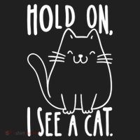 Hold On I See A Cat Funny Cat Kitten For Women Gifts Cat Mom Beanie thumb 2