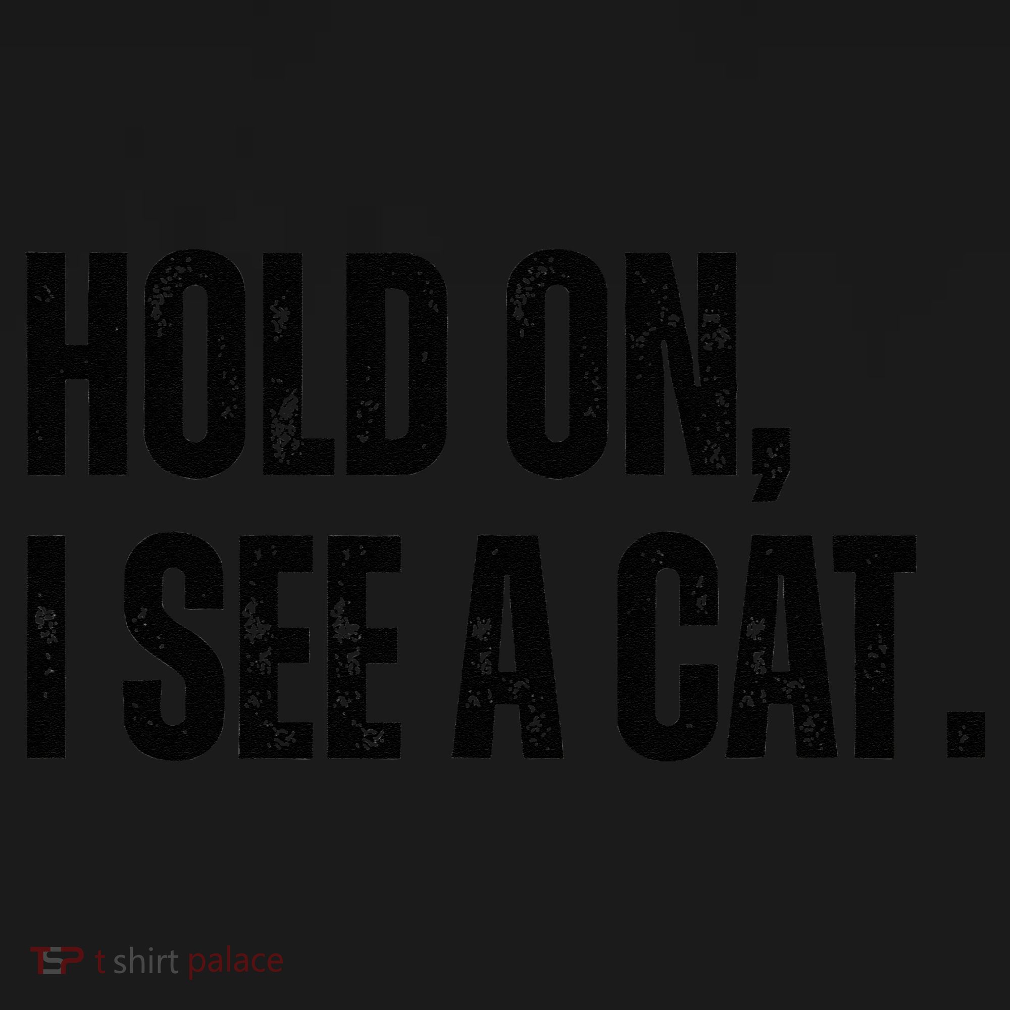 Hold On I See A Cat Lover Pet Parent Humor Women's Hoodie