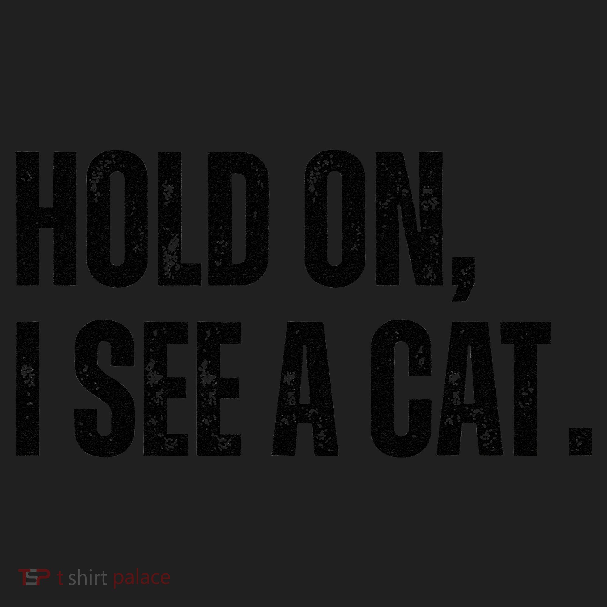 Hold On I See A Cat Lover Pet Parent Humor Hat