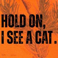 Hold On I See A Cat Lover Pet Parent Humor Kati Licensed 12" Camo Cuffed Beanie thumb 2