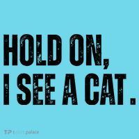 Hold On I See A Cat Lover Pet Parent Humor Kids T-Shirt thumb 4