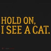 Hold On I See A Cat, Funny Cat Lovers Sarcastic Sayings Ornament thumb 1
