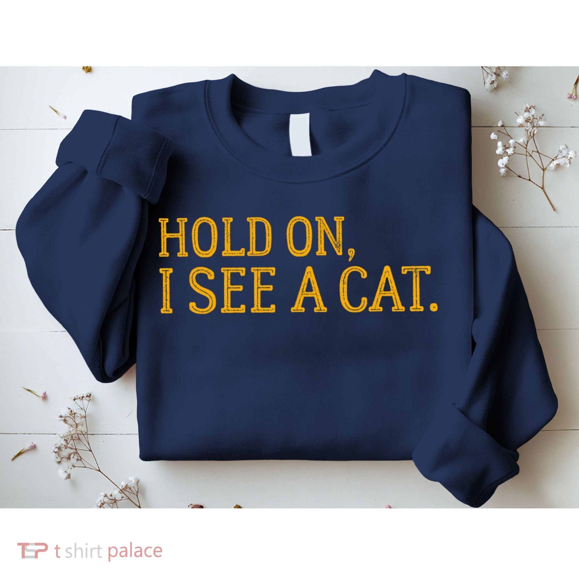 Hold On I See A Cat, Funny Cat Lovers Sarcastic Sayings Sweatshirt