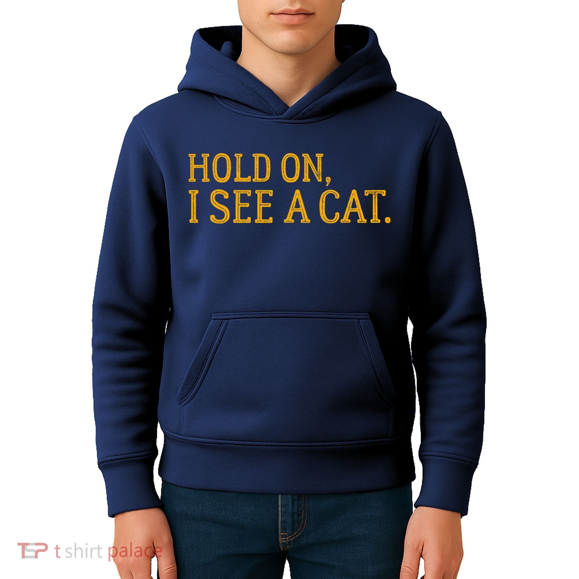 Hold On I See A Cat, Funny Cat Lovers Sarcastic Sayings Kids Hoodie