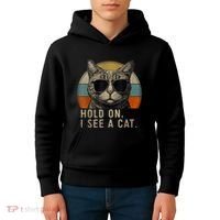 Hold On I See A Cat Funny Cat Shirts For Women , Cat Dad Kids Hoodie thumb 4
