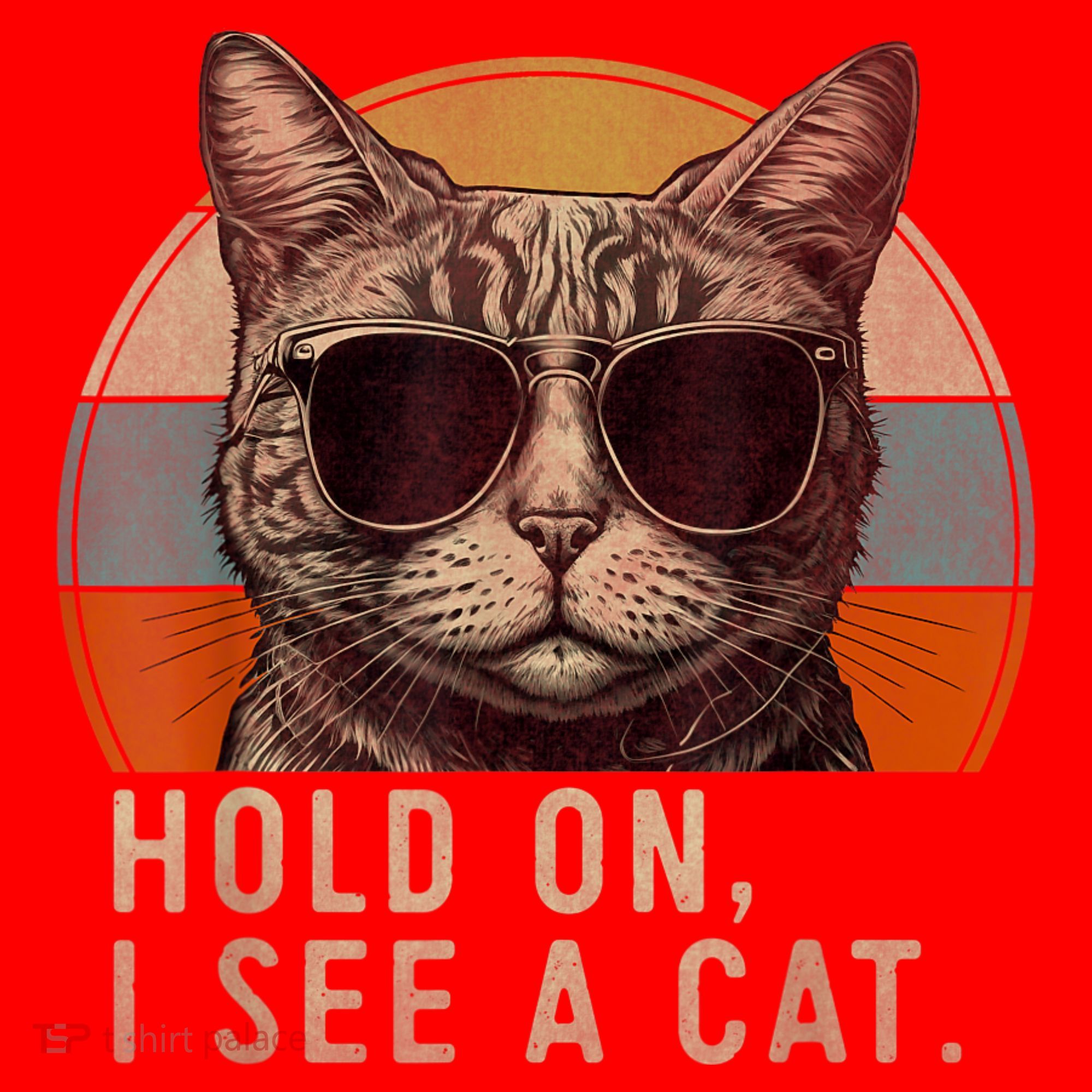 Hold On I See A Cat Funny Cat Shirts For Women , Cat Dad Santa Hat