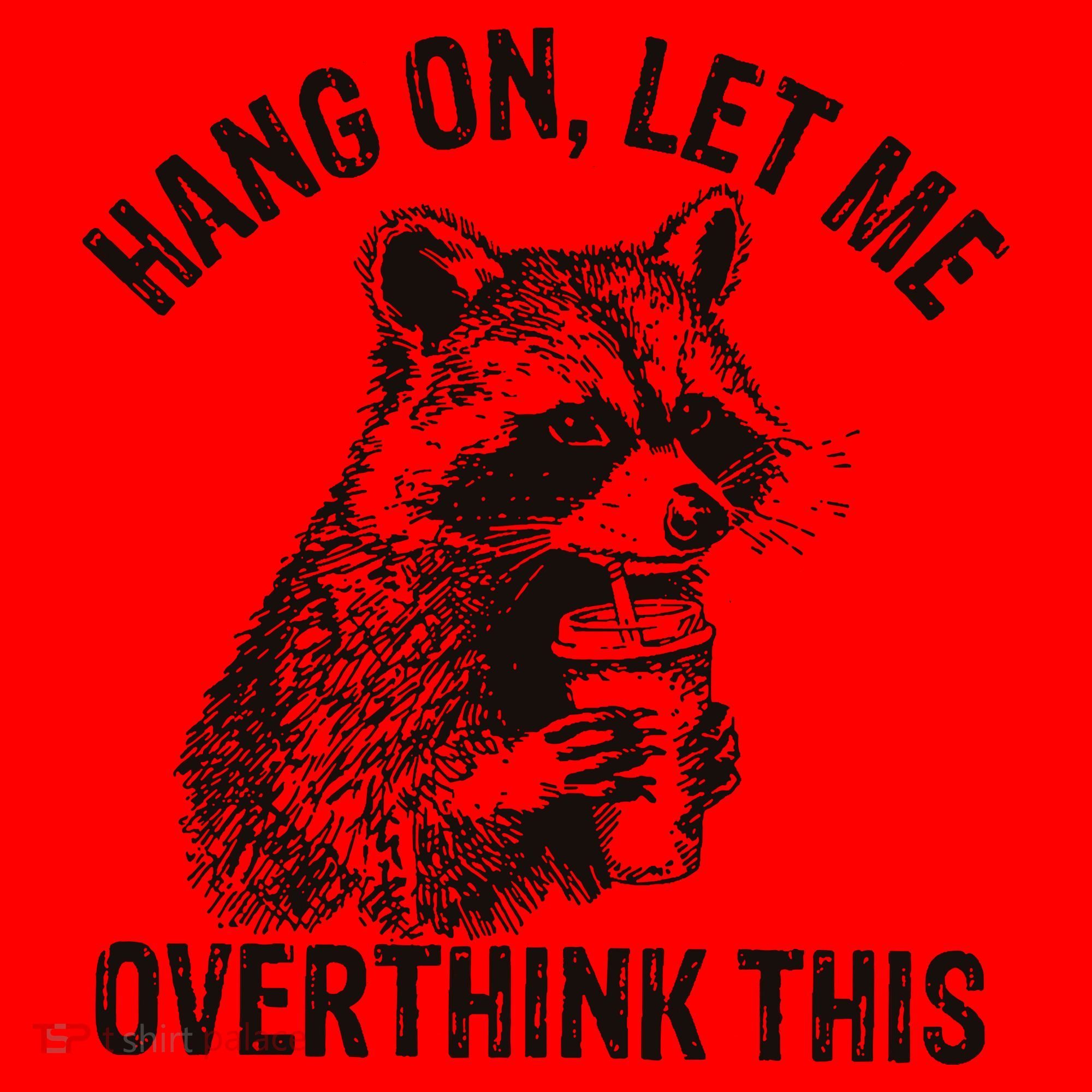 Hang On Let Me Overthink This Funny Racoon Santa Hat