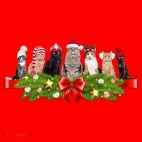 Holiday Christmas Cats Santa Hat thumb 1