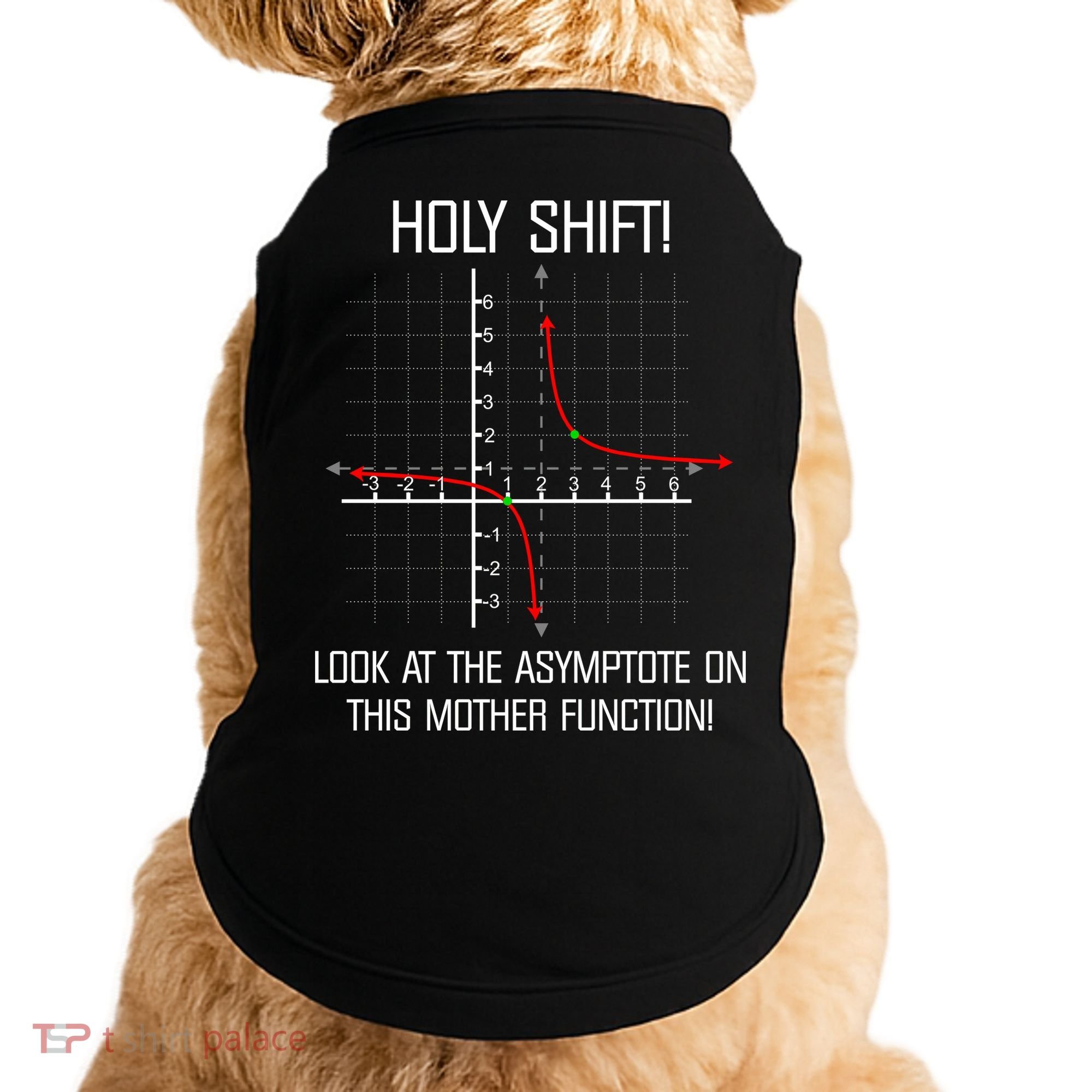Holy Shift Asymptote Curve Doggie Tank