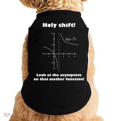 Holy Shift Look At The Asympotote On That Mother Function Doggie Tank
