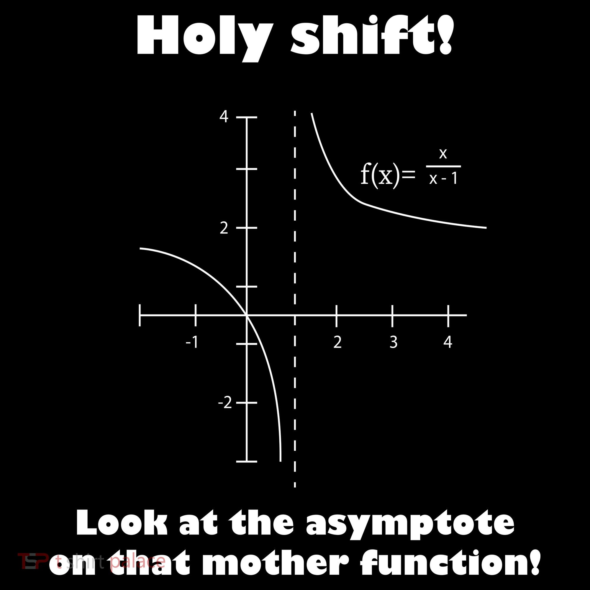Holy Shift Look At The Asympotote On That Mother Function USA-Made Doggie Bandana