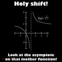Holy Shift Look At The Asympotote On That Mother Function Ornament thumb 1