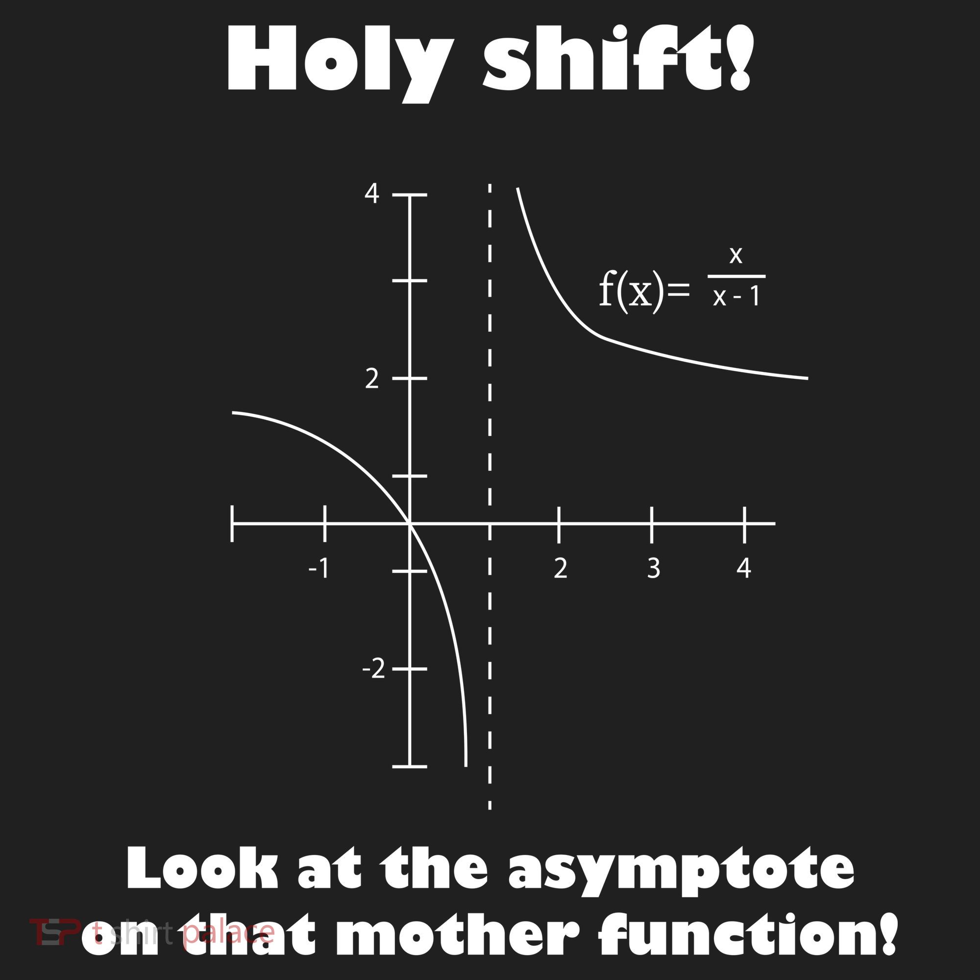 Holy Shift Look At The Asympotote On That Mother Function Hat