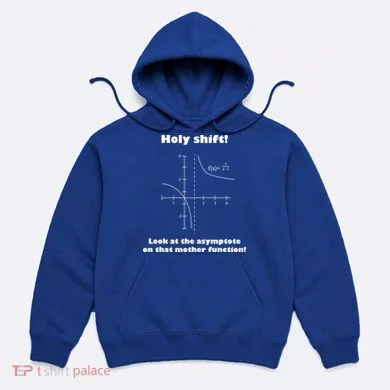 Holy Shift Look At The Asympotote On That Mother Function Hoodie