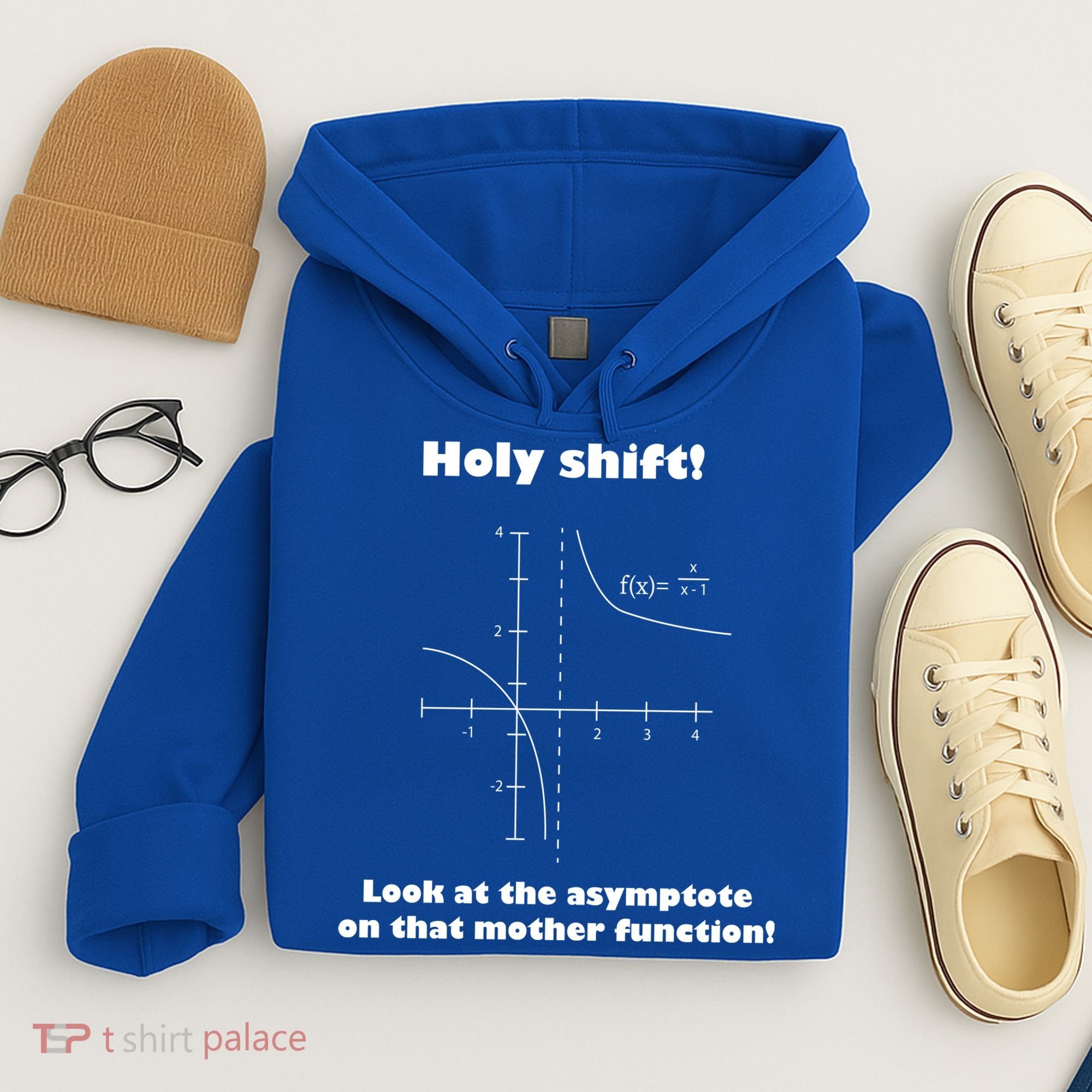 Holy Shift Look At The Asympotote On That Mother Function Hoodie