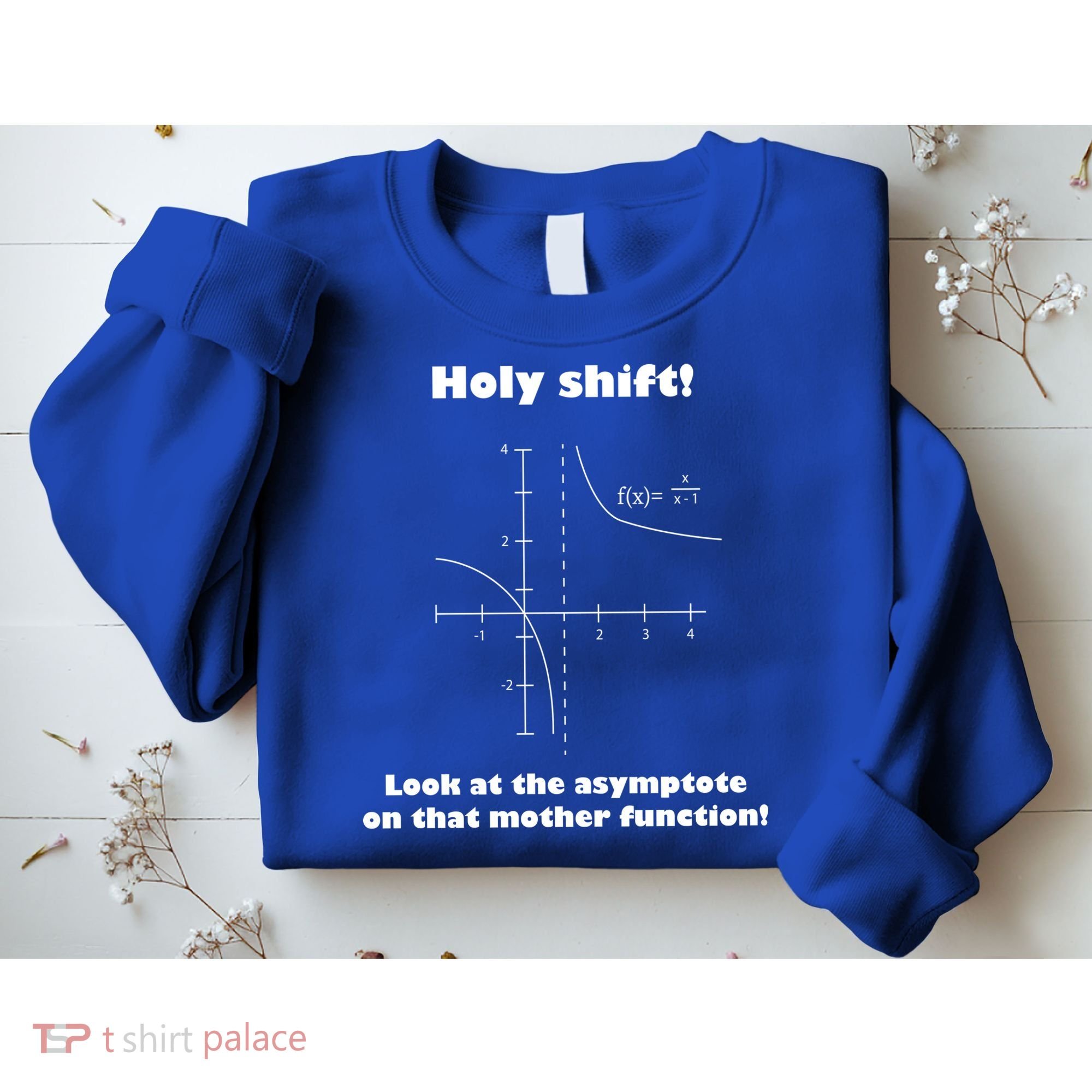 Holy Shift Look At The Asympotote On That Mother Function Sweatshirt