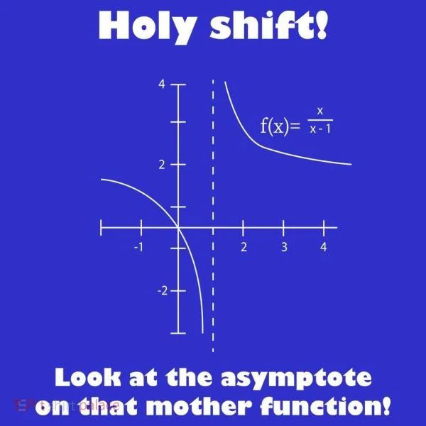 Holy Shift Look At The Asympotote On That Mother Function Women's T-Shirt
