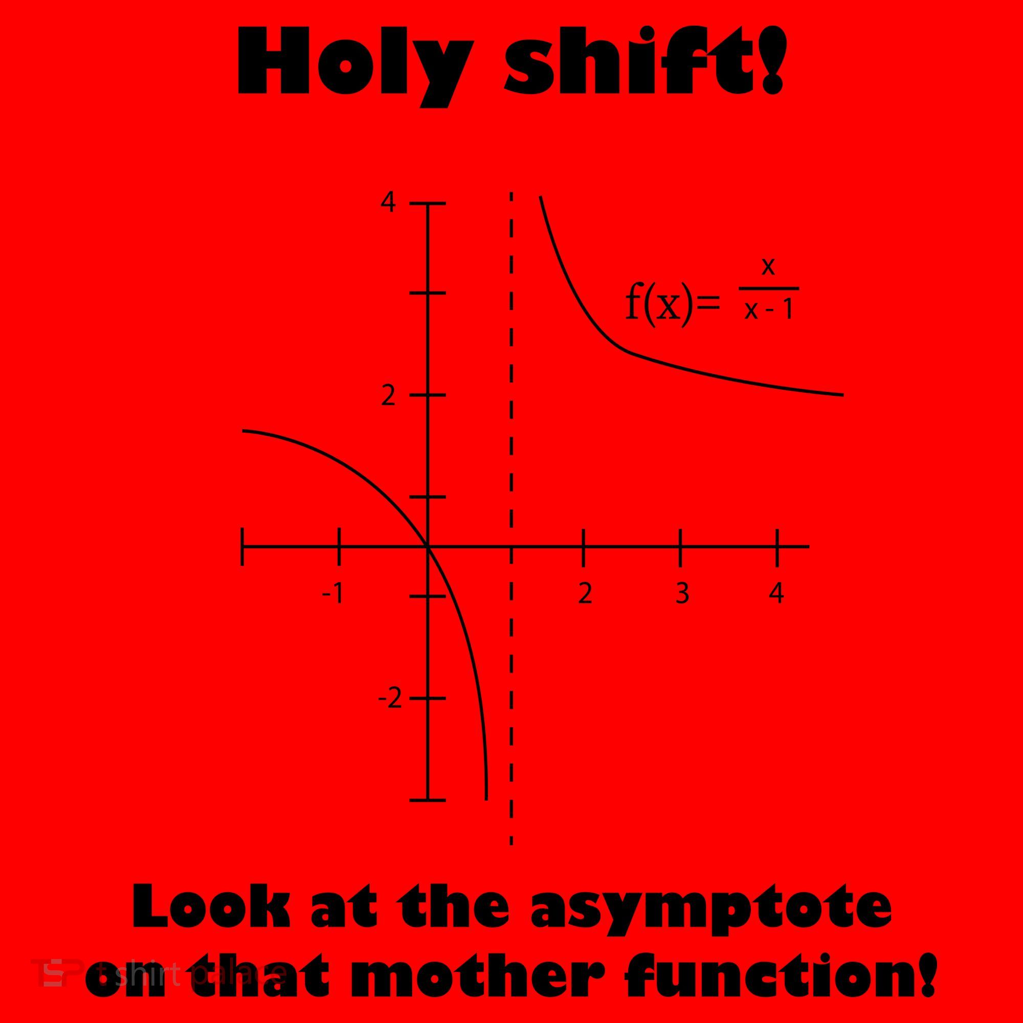 Holy Shift Look At The Asympotote On That Mother Function Santa Hat