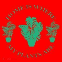Home Is Where My Plants Are Funny Medical Marijuana Santa Hat thumb 1