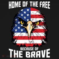Home Of The Free Because Of The Brave Bald Eagle Ornament thumb 1
