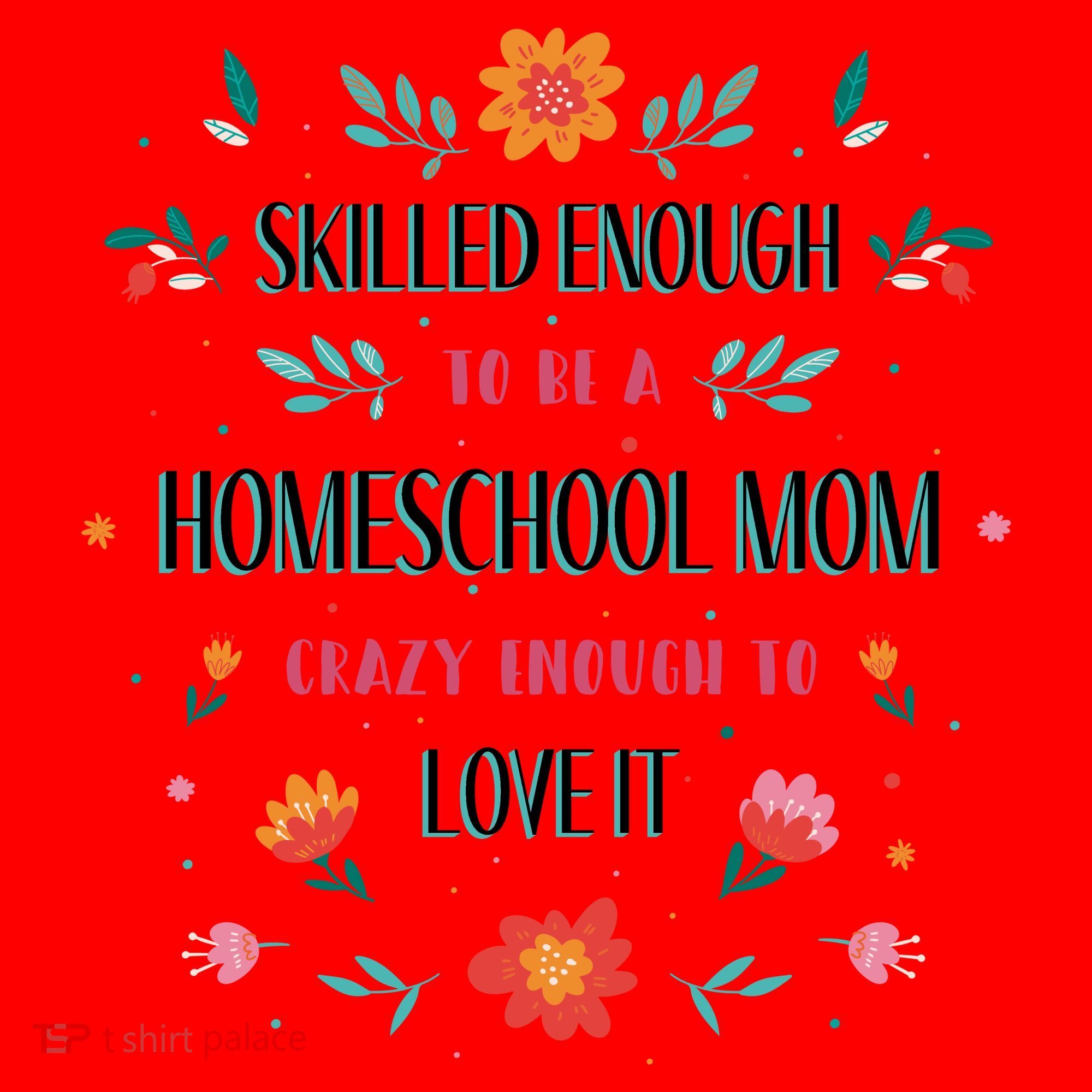 Home School Mom Santa Hat