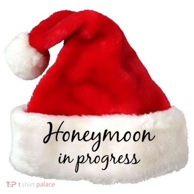 Honeymoon In Progress Santa Hat