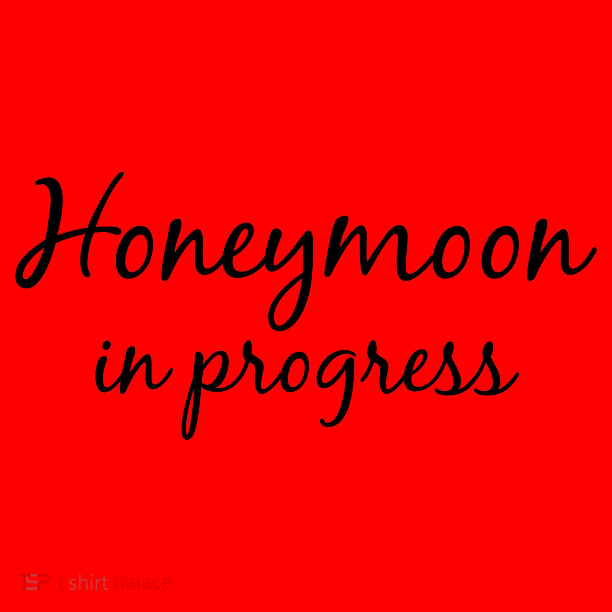 Honeymoon In Progress Santa Hat