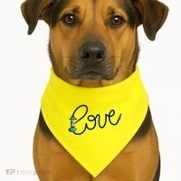 Hookah Love USA-Made Doggie Bandana thumb 1